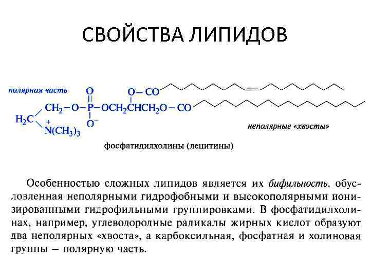 СВОЙСТВА ЛИПИДОВ 