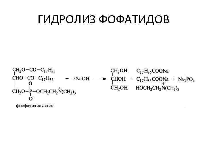 ГИДРОЛИЗ ФОФАТИДОВ 