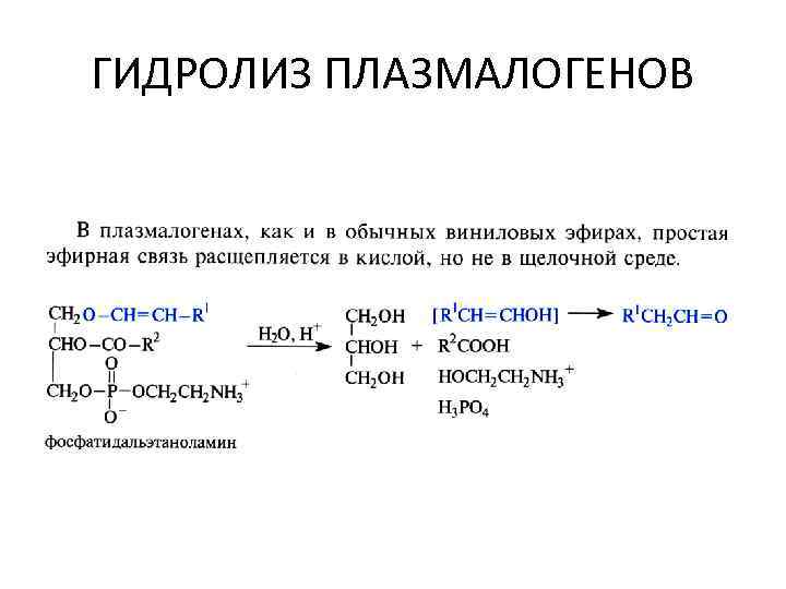 Суть гидролиза. Плазмалогены формула. Плазмалоген гидролиз. Гидролиз плазмогена. Плазмалогены общая формула.