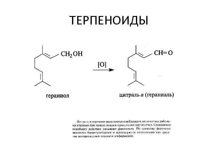 ТЕРПЕНОИДЫ 