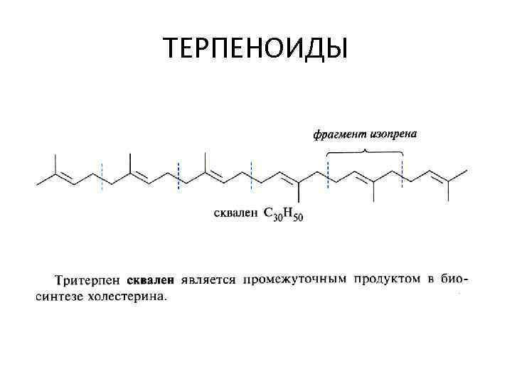 ТЕРПЕНОИДЫ 