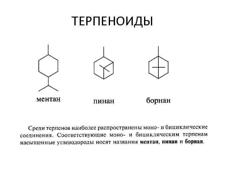 ТЕРПЕНОИДЫ 