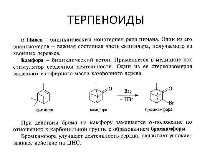 Камфора свойства