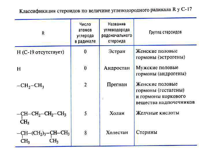 СТЕРОИДЫ 