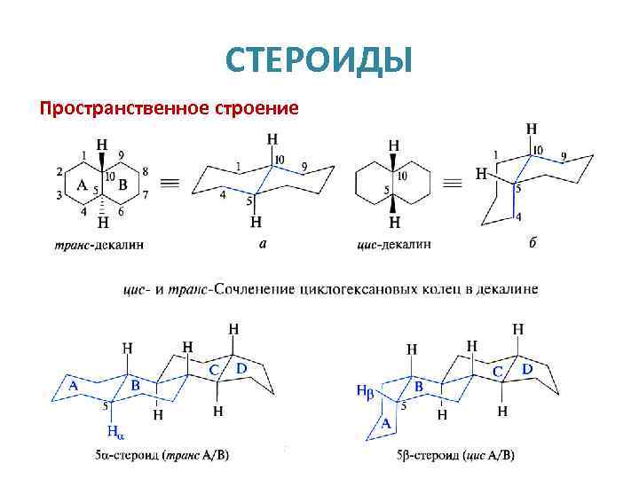 СТЕРОИДЫ Пространственное строение 