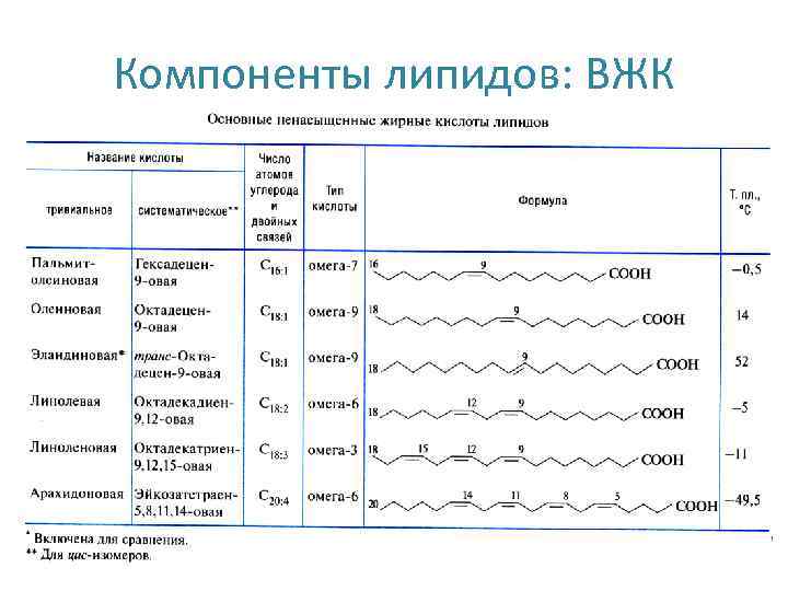 Липидов кислота