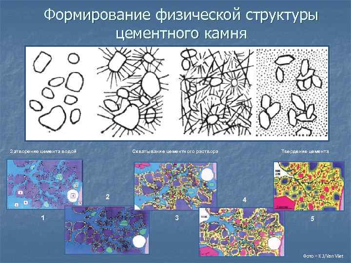 Формирование физической структуры цементного камня Затворение цемента водой Схватывание цементного раствора 2 1 Твердение