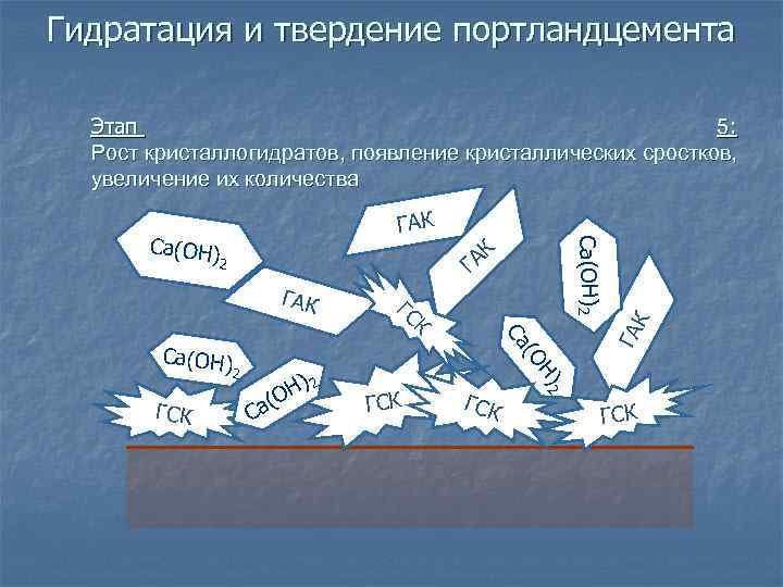 Гидратация и твердение портландцемента Этап 5: Рост кристаллогидратов, появление кристаллических сростков, увеличение их количества