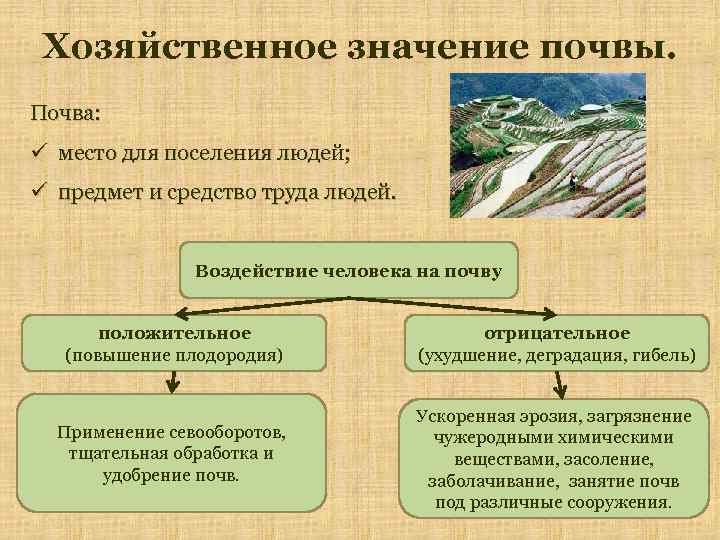 Использование и охрана земельных ресурсов