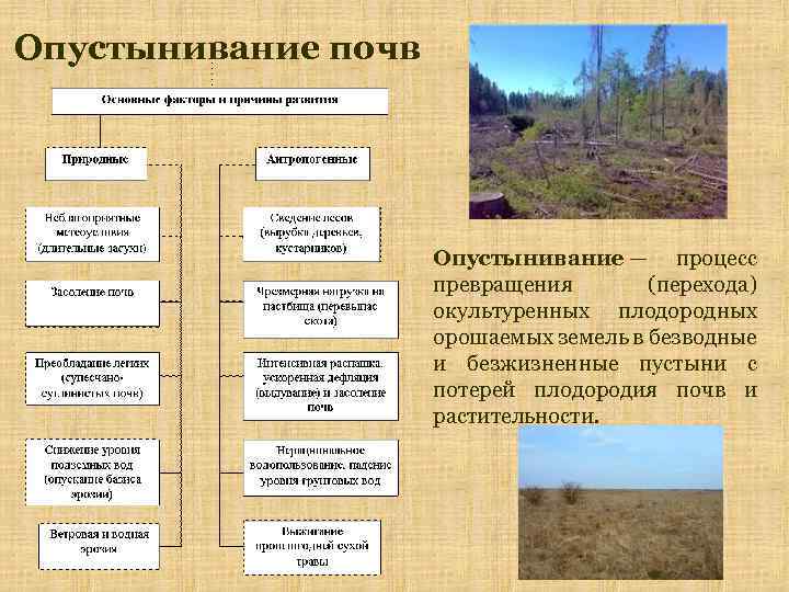 Опустынивание причины картинки