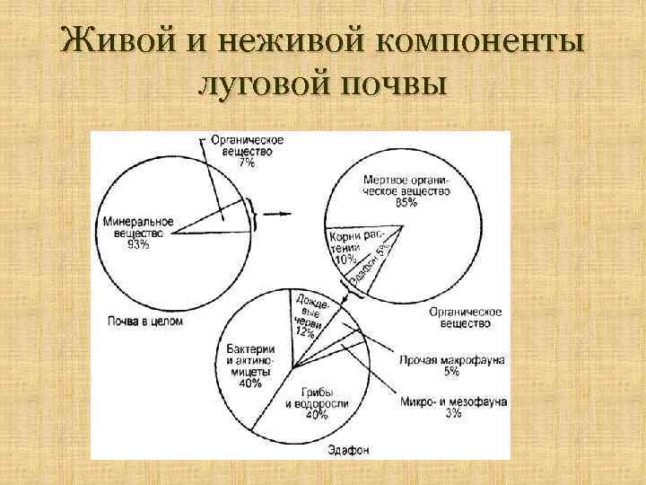 Компоненты почвы