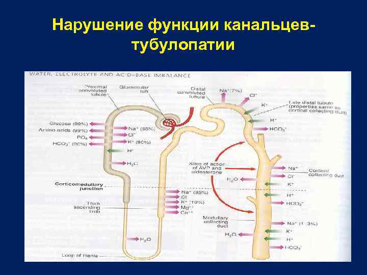 Нарушение функции канальцевтубулопатии 