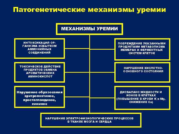 Патогенетические механизмы уремии МЕХАНИЗМЫ УРЕМИИ ИНТОКСИКАЦИЯ ОРГАНИЗМА ИЗБЫТКОМ АММОНИЙНЫХ СОЕДИНЕНИЙ ТОКСИЧЕСКОЕ ДЕЙСТВИЕ ПРОДУКТОВ ОБМЕНА