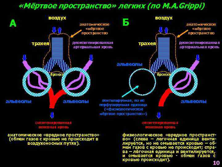 Мертвое пространство