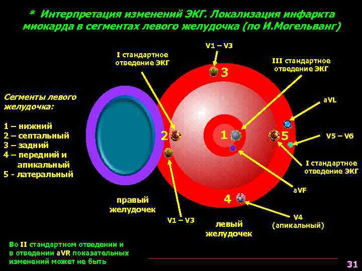 Сегменты миокарда левого желудочка схема