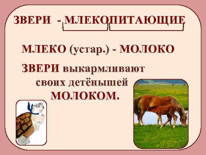 ЗВЕРИ - МЛЕКОПИТАЮЩИЕ МЛЕКО (устар. ) - МОЛОКО ЗВЕРИ выкармливают своих детёнышей МОЛОКОМ. 