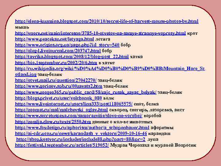 http: //elena-kuzmina. blogspot. com/2010/10/secret-life-of-harvest-mouse-photos-by. html мышь http: //vnore. net/main/interesno/3785 -10 -otvetov-na-samye-strannye-voprosy. html крот http: