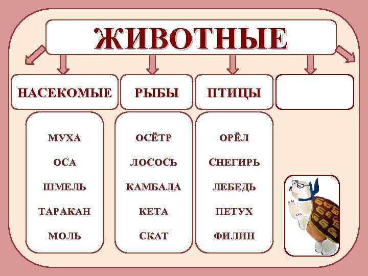 ЖИВОТНЫЕ НАСЕКОМЫЕ РЫБЫ ПТИЦЫ МУХА ОСЁТР ОРЁЛ ОСА ЛОСОСЬ СНЕГИРЬ ШМЕЛЬ КАМБАЛА ЛЕБЕДЬ ТАРАКАН