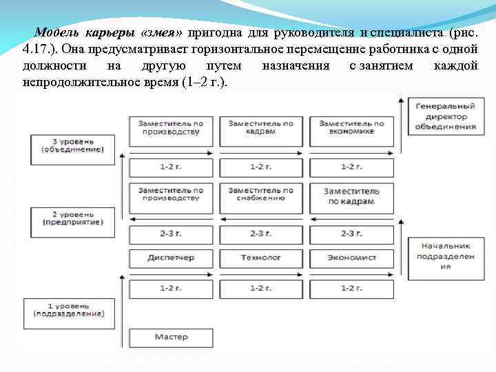 Модель карьеры «змея» пригодна для руководителя и специалиста (рис. 4. 17. ). Она предусматривает