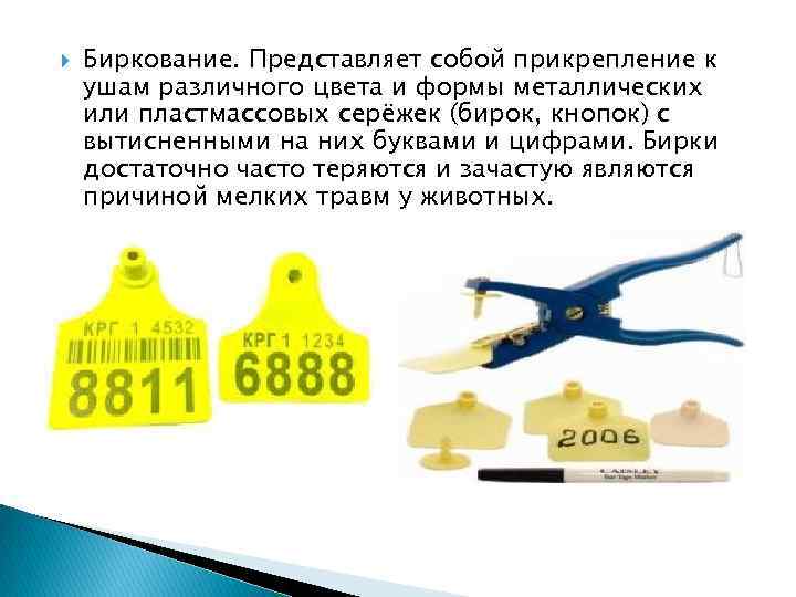  Биркование. Представляет собой прикрепление к ушам различного цвета и формы металлических или пластмассовых
