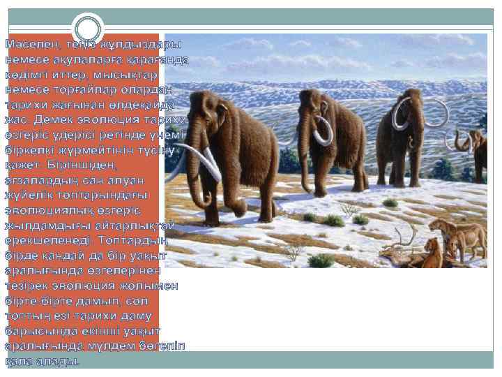 Мәселен, теңіз жұлдыздары немесе ақулаларға қарағанда көдімгі иттер, мысықтар немесе торғайлар олардан тарихи жағынан