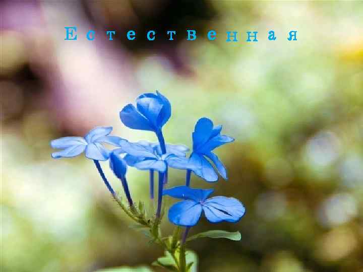 Естественная 