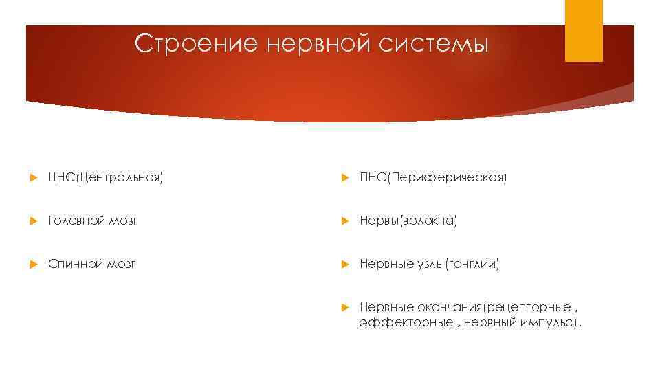 Строение нервной системы ЦНС(Центральная) ПНС(Периферическая) Головной мозг Нервы(волокна) Спинной мозг Нервные узлы(ганглии) Нервные окончания(рецепторные