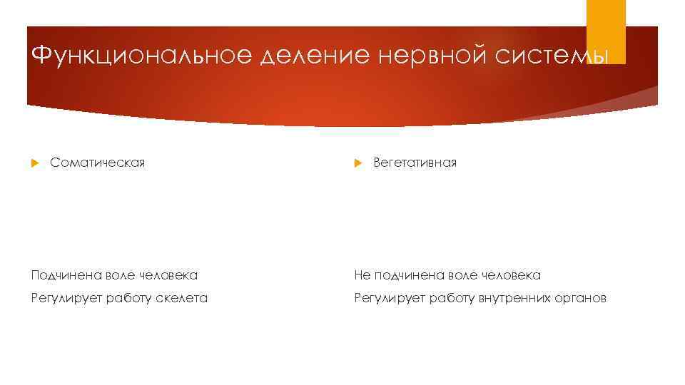 Функциональное деление нервной системы Соматическая Вегетативная Подчинена воле человека Не подчинена воле человека Регулирует