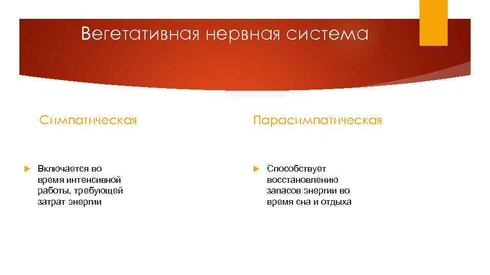 Вегетативная нервная система Симпатическая Парасимпатическая Включается во время интенсивной работы, требующей затрат энергии Способствует