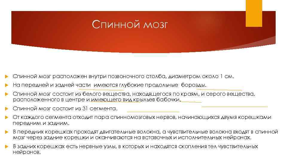 Спинной мозг расположен внутри позвоночного столба, диаметром около 1 см. На передней и задней