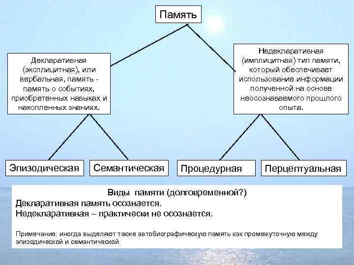 Память Декларативная (эксплицитная), или вербальная, память о событиях, приобретенных навыках и накопленных знаниях. Эпизодическая