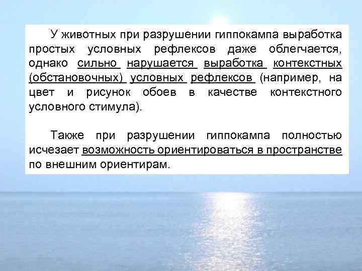 У животных при разрушении гиппокампа выработка простых условных рефлексов даже облегчается, однако сильно нарушается