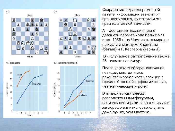 Сохранение в кратковременной памяти информации зависит от прошлого опыта, контекста и его предполагаемой важности.