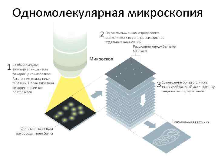 Одномолекулярная микроскопия 