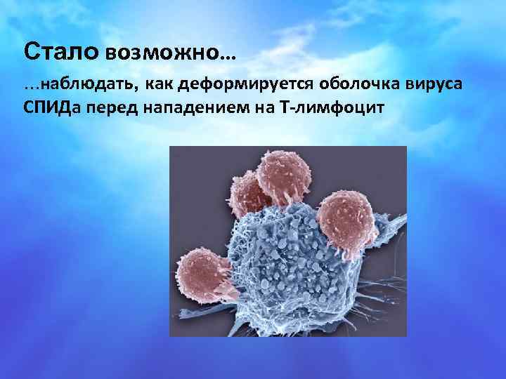 Стало возможно… …наблюдать, как деформируется оболочка вируса СПИДа перед нападением на Т-лимфоцит 