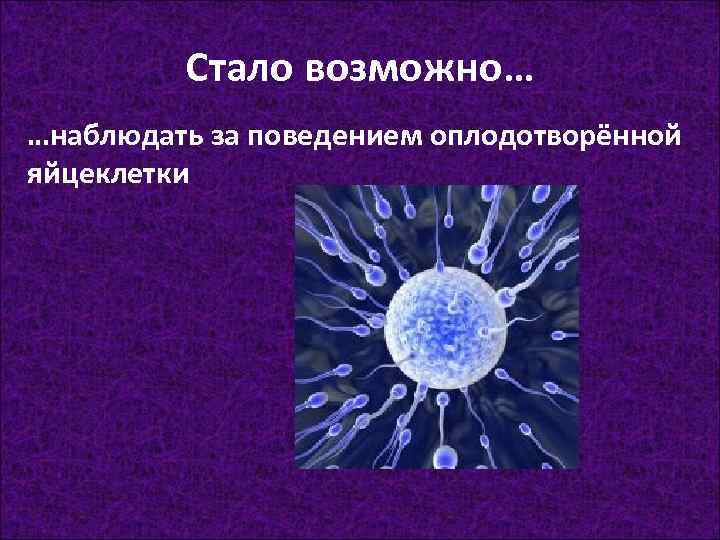 Стало возможно… …наблюдать за поведением оплодотворённой яйцеклетки 