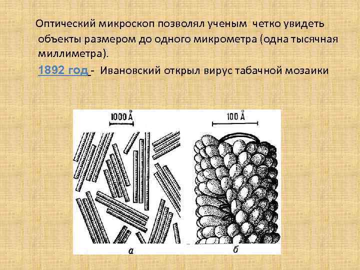  Оптический микроскоп позволял ученым четко увидеть объекты размером до одного микрометра (одна тысячная