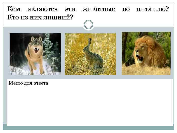 Кем являются эти животные по питанию? Кто из них лишний? Место для ответа 