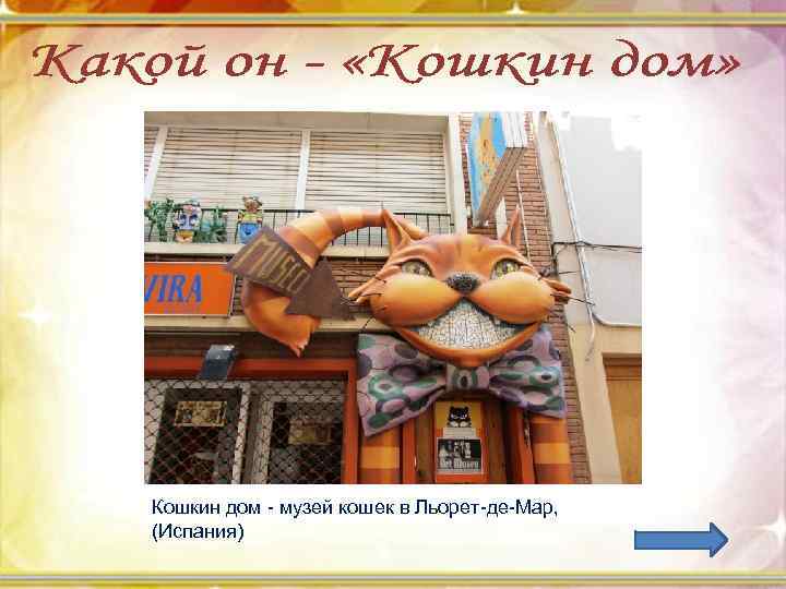 Кошкин дом - музей кошек в Льорет-де-Мар, (Испания) 