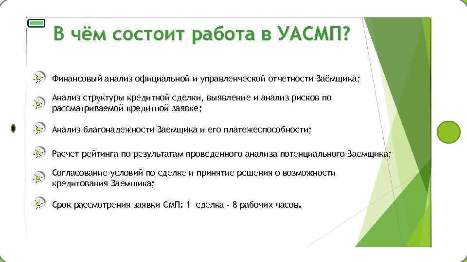 В чём состоит работа в УАСМП? Финансовый анализ официальной и управленческой отчетности Заёмщика; Анализ