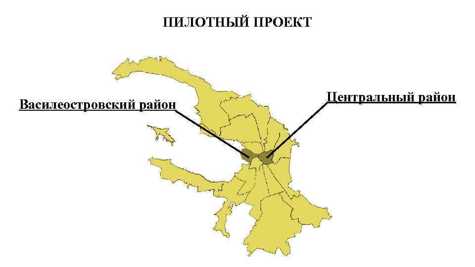 ПИЛОТНЫЙ ПРОЕКТ Василеостровский район Центральный район 