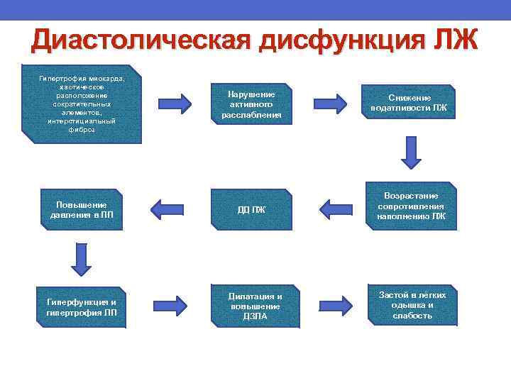 Диастолическая дисфункция ЛЖ Гипертрофия миокарда, хаотическое расположение сократительных элементов, интерстициальный фиброз Повышение давления в