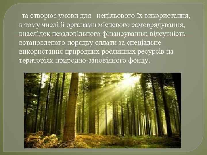 та створює умови для нецільового їх використання, в тому числі й органами місцевого самоврядування,