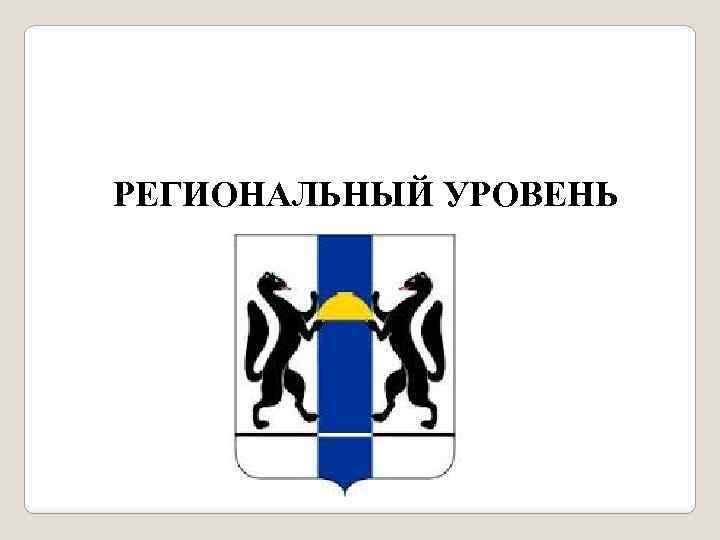 РЕГИОНАЛЬНЫЙ УРОВЕНЬ 