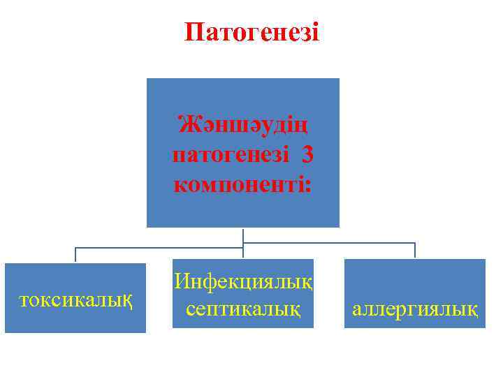 Патогенезі Жәншәудің патогенезі 3 компоненті: токсикалық Инфекциялық септикалық аллергиялық 