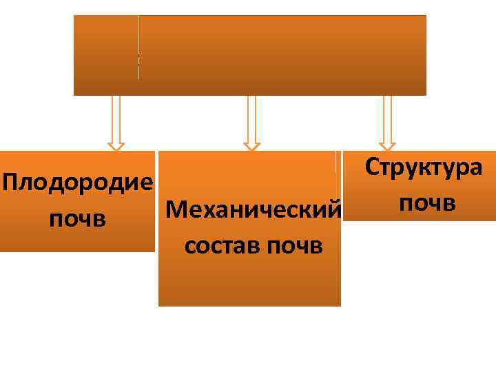 Основные свойства почв Структура Плодородие почв Механический почв состав почв 