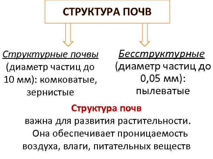 СТРУКТУРА ПОЧВ Структурные почвы Бесструктурные (диаметр частиц до 0, 05 мм): 10 мм): комковатые,