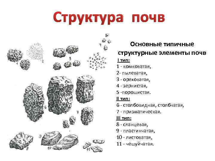 Структура почв Основные типичные структурные элементы почв I тип: 1 - комковатая, 2 -