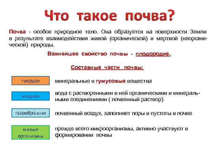 Почва особое природное тело. Составные части почвы. Почва особое природное тело план конспект.