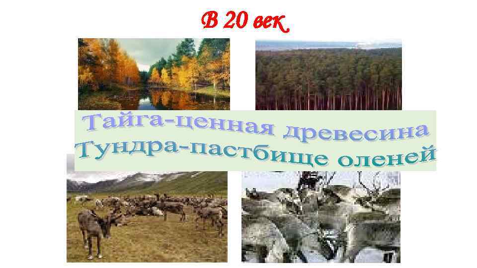 В 20 век 